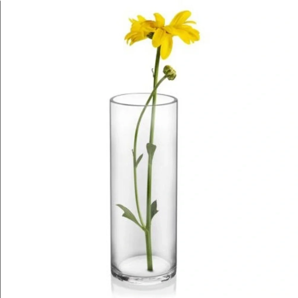 Set of 2 Clear Cylinder Glass Vases